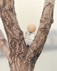 April Eau de Parfum